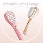 Premium Anti-Static Massage Comb – Professional-Grade Scalp Care and Detangling