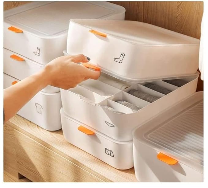 Single Deals™ 10 Compartment Underwear Storage Box - Premium Quality