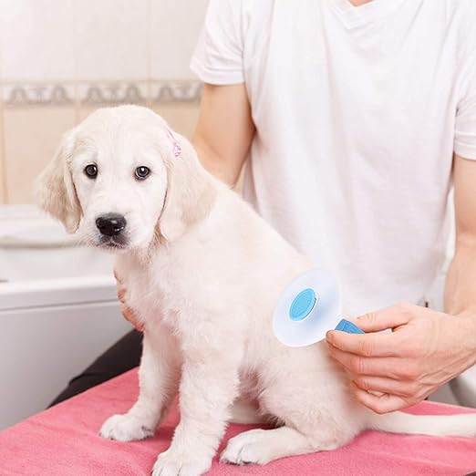 Pet Brush – Sophisticated Maintenance Solution Premium Quality SingleDeals™