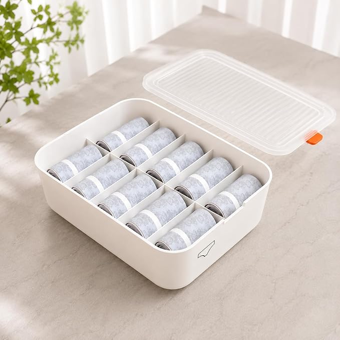 Single Deals™ 10 Compartment Underwear Storage Box - Premium Quality