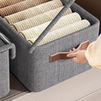 Single Deals™ Folding Storage Box With Lid - Premium Quality